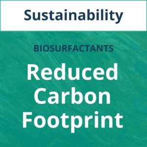 Energy Sustainability for Reduced Carbon Footprint